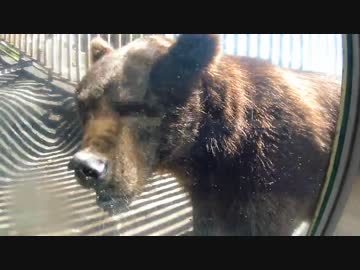 【XJ6N】ちょっと日本一周行ってくる・21日目【北海道】