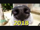 ボギー大佐の言いたい放題　2018年01月01日　21時頃　放送分