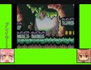#3-1 フルーツゲーム劇場『スーパーマリオアドバンス3』