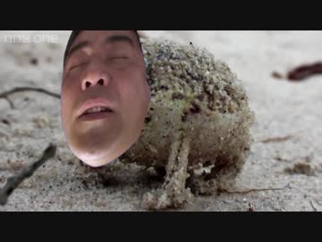 A very angry 現ちゃん(日本語字幕あり)