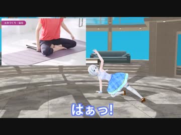 ヨガに挑戦するシロイルカ