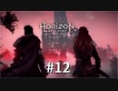 Horizon Zero Dawnを楽しくプレイ！【#12】