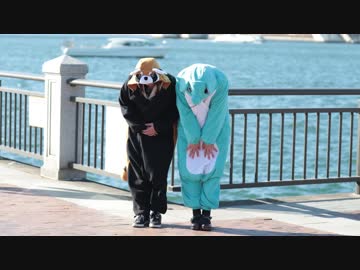 【動物たちが】たりないかぼちゃ 踊ってみた【うたゆき×六月小雨】