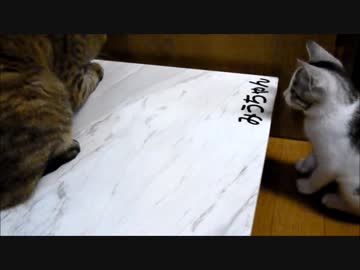 ネズミの頭、子猫なんかにわたさないわよ！