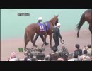 第41回東京２歳優駿牝馬 パドック～本馬場入場