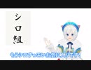 【謹賀新年】バーチャル書初めしたらおかしな展開に...
