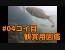 #04観賞用図鑑シリーズ