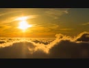 And a new life begins. / ウノハナウツギ