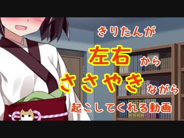 【イヤホン推奨】きりたんが左右からささやきながら起こしてくれる動画