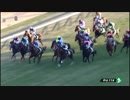 2018年　第67回 中山金杯（GⅢ）【セダブリランテス】