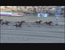 2018年1月2日川崎競馬10R 清酒盛升・黄金井酒造盃ゴールデンホース賞