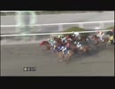 吉田神『カヴァリエール 今日もまた2着なのか？』(2018年1月3日園田競馬9R)