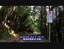 ひとりでとことこツーリング45-01　～鹿児島県道291号線～