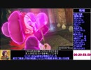 ドラゴンクエストヒーローズ　RTA 5:07:08.01 part2 解説あり