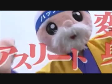 北関東3県のご当地キャラが100メートル走で対決