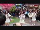 奇声と絶叫の路上ライブ　APRIL 160313 (muah)