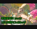 葵色のおっさんの1d1hゼル伝BoW日記006