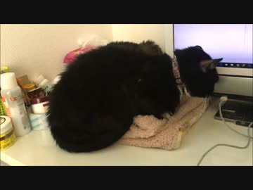 【こげつく】パソコン横のこげとおにぎり