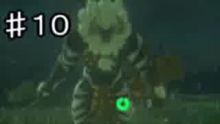 【実況】愛に生きないゼルダの伝説ブレスオブザワイルド　part10