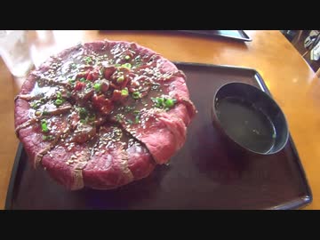 VFR800 納車＆ギャング丼 プチツーリング（一部インカム音声有り）