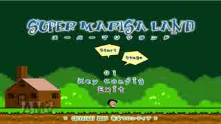 【スーパーマリサランド】初見が頑張るマリサランド【ゆっくり実況】
