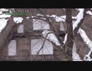 【散策物語】冬の世界遺産「五箇山相倉合掌集落」～富山県南砺市～