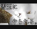 【実況】女一人で伝説の秘宝を探します。Part39【トゥームレイダー2】
