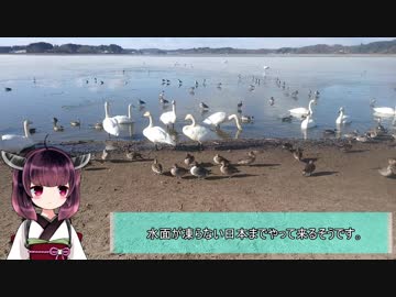 きりたん　走りの旅倶楽部　第2回目「伊豆沼、長沼までぶらり」