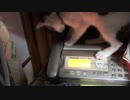 いつも電話が話し中の家
