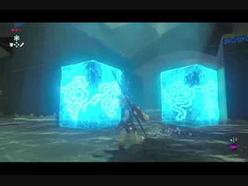 （８）はじめてのゼルダの伝説ブレスオブザワイルド