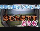 【スマホ版PUBG荒野行動】No.５　乗り換えまくりんご