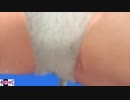 DOA5LR　tecmo50周年　女天狗Request