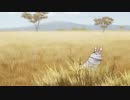 しーましーまーしまーしーましー！