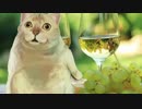 MURでも分かる！ワイン入門 vol.2