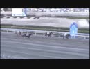 2018年1月10日浦和競馬12R 初茜（はつあかね）特別 ロジストーム