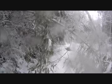 KLX250で逝く雪道林道
