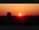 Birds Flying At Sunset　大津将史