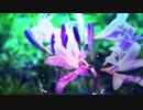 【UTAU音源配布】色彩と割れたグラス【茅歌コナギ-なつずいせん(儚)】