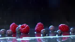 Slow Motion Fruit Falling@保坂悠仁