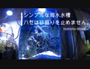 シンプルな海水水槽　「ハゼは砂堀りを止めません」