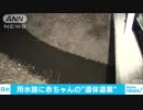 用水路に赤ちゃんの遺体 カンボジア人の男女を逮捕
