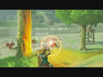 zzzzzzzzzzzelda / webnokusoyaro