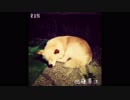 RUN オリジナル曲 佐藤草汰 歌詞はコメント欄