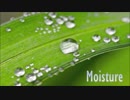 Moisture / カイナ