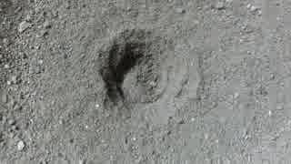 人気の ありじごく 動画 96本 ニコニコ動画