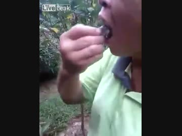 ホモと見る生きてる雛鳥をむしゃむしゃ食うおばさん