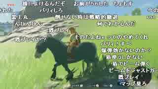 【YTL】うんこちゃん『ゼルダの伝説 ブレス オブ ザ ワイルド』part8