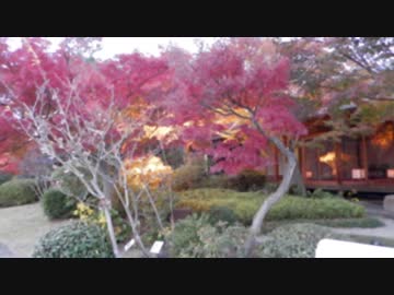 『人狼やるならPHP！PHPはじめるなら早苗鯖！』【汝は人狼なりや？】