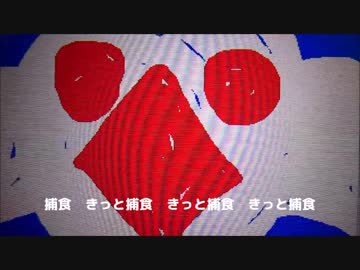 カモメ