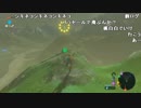 【YTL】うんこちゃん『ゼルダの伝説 ブレス オブ ザ ワイルド』part25